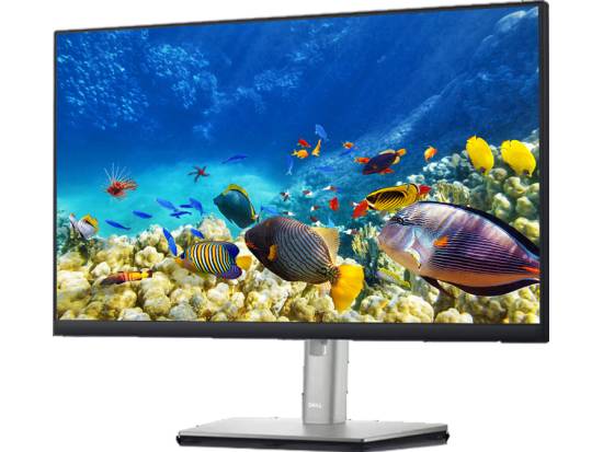 Dell P2422H 24" FHD IPS LED LCD Monitor - Grade B